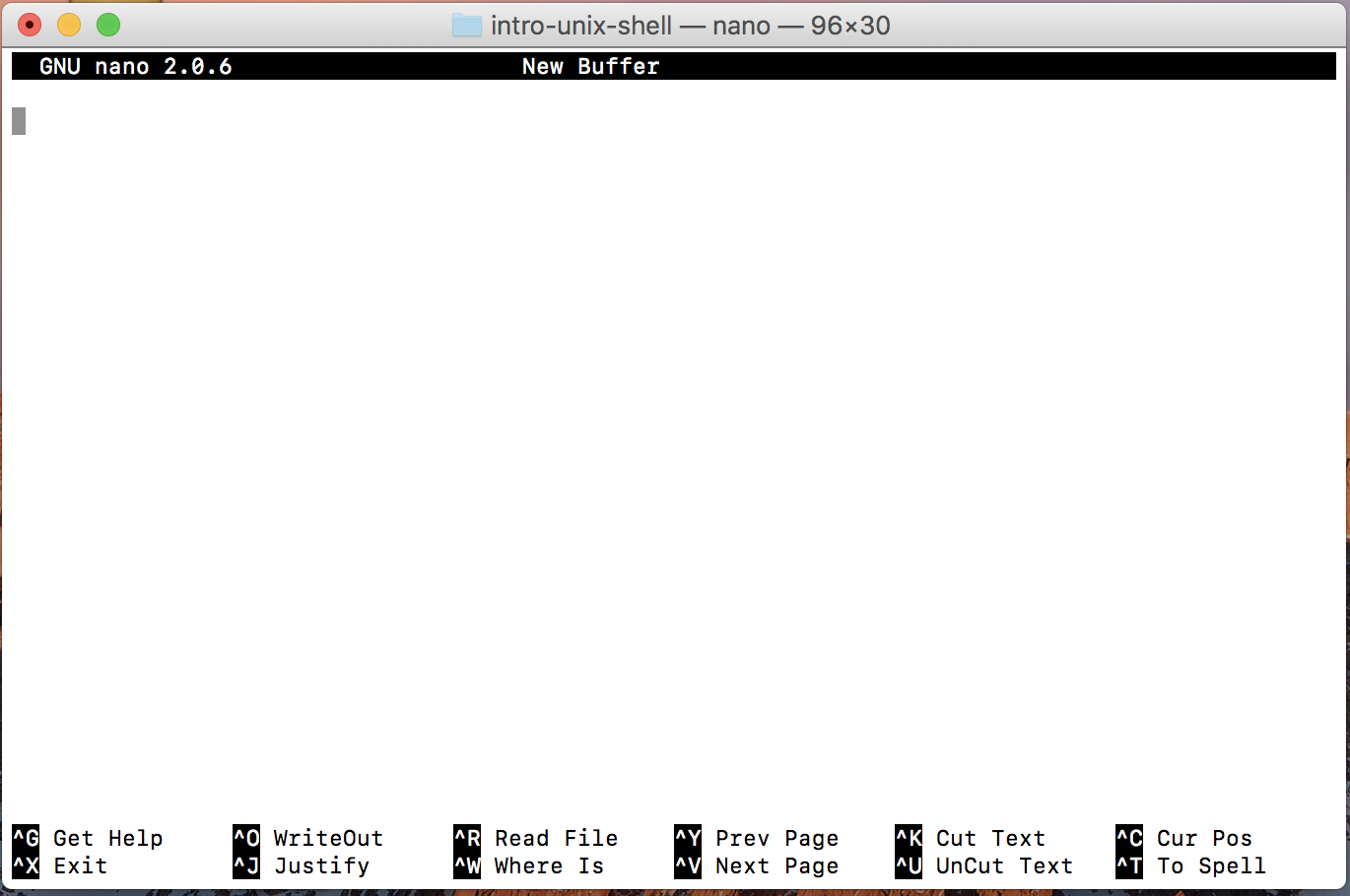 Screenshot blank Nano file